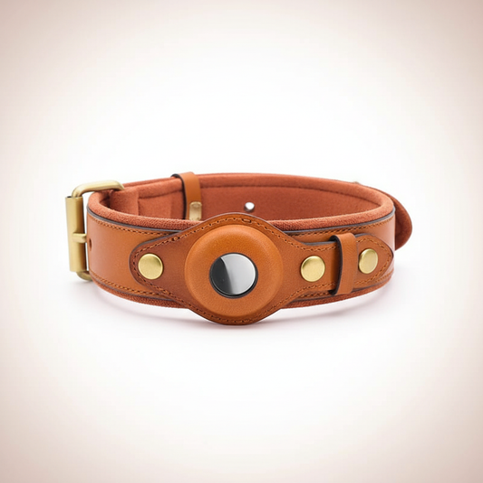 Leather Anti-Lost Dog Collar